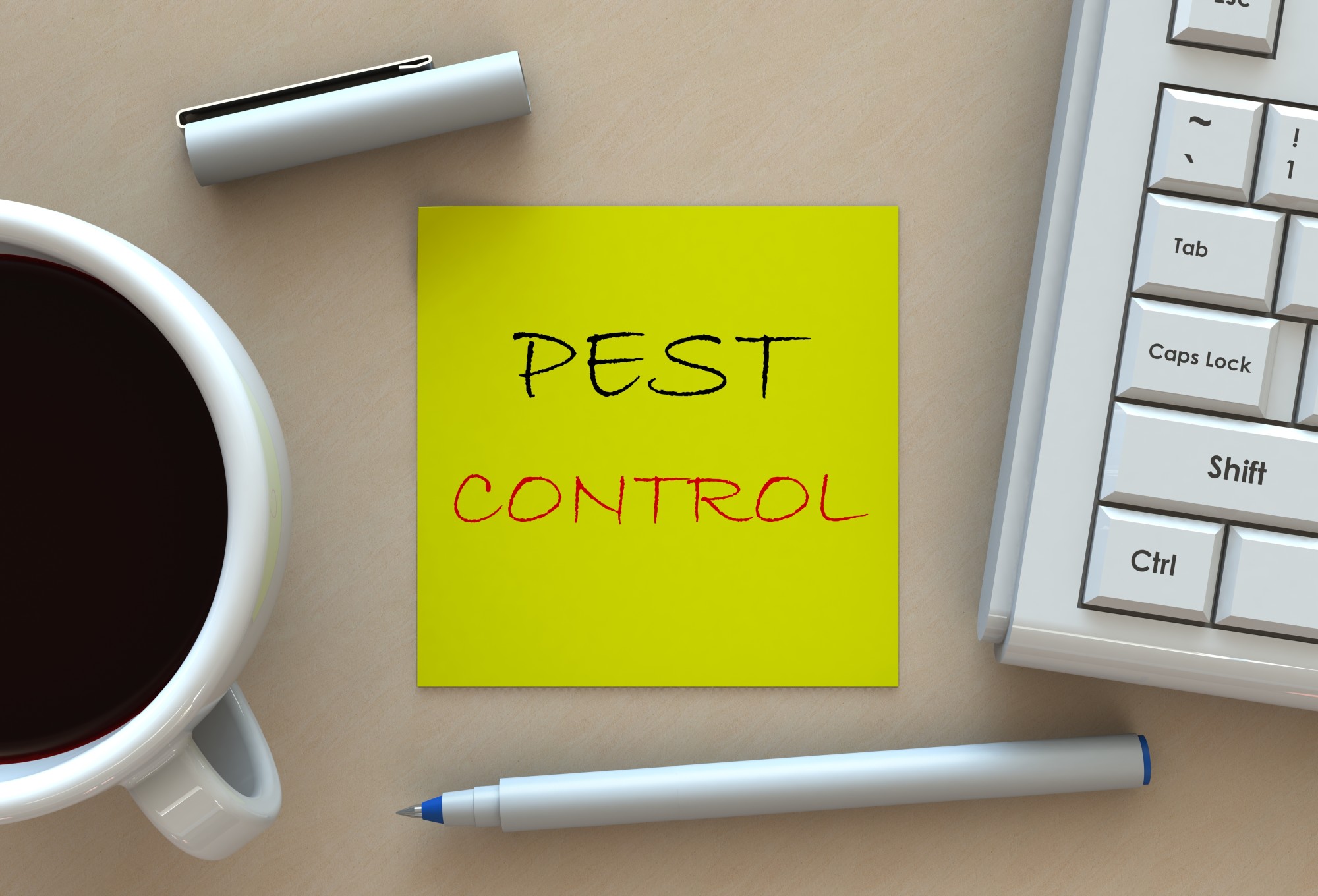 A Homeowners Guide to Pest Control
