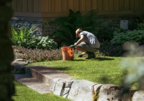 How to Create a Sustainable Summer Maintenance Plan for Your Backyard